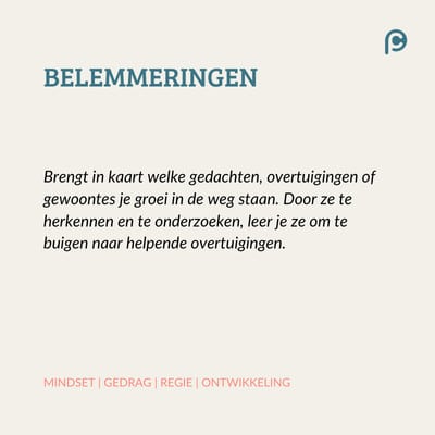 BELEMMERINGEN loopbaantest desktop