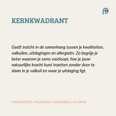 KERNKWADRANT loopbaantest desktop